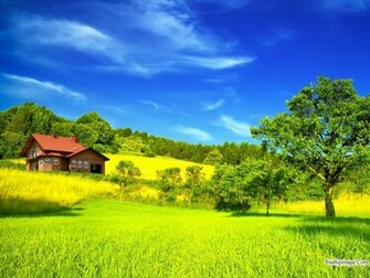 Nature Wallpaper Wallpaperpk Background Love