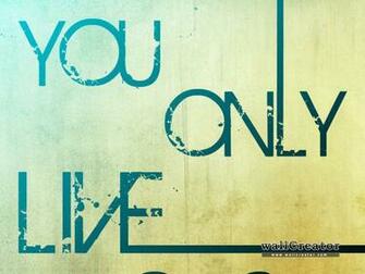 Yolo Wallpaper