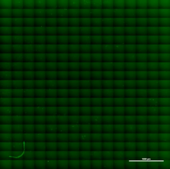 Dots From The Gradient Of Image Mathematica Stack Exchange