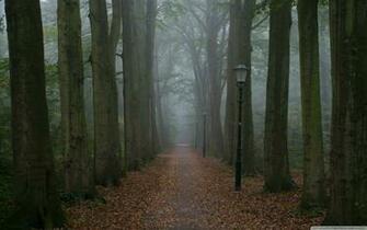 Foggy Gloomy Day UltraHD Wallpaper Printed