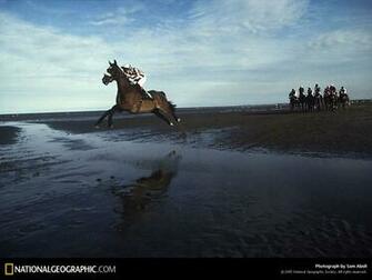 Of The Day Picture Photography Wallpaper National Geographic