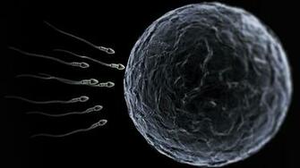 Sperm Abstraction Abstract Bokeh Life Sex Sexual Medical