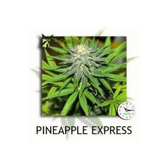 Url Smscs Photo Pineapple Html