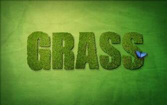 Green Butterfly Wallpaper Wallpoper