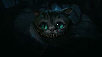 Cat Wallpaper