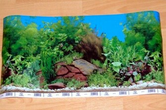 Tips On Aquarium Background With Forum Wallpaper