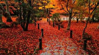 Autumn Leaves