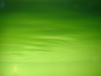Green Gallery Color Life