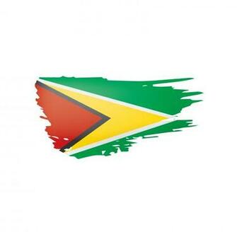 Guyana Flag Vector Illustration On A White Background Stock