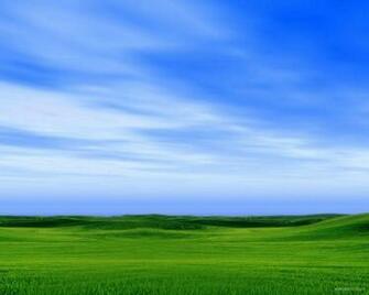 Bliss Wallpaper Pure Xpx Desktop