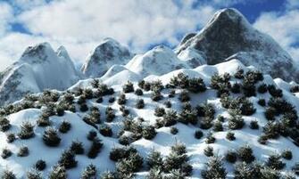 Baby Christmas Trees On A Mountain Wallpaper In Nature