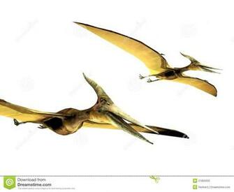 Best Pterodactyl Background