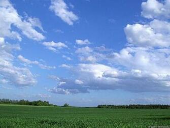 Wallpaper Background Desktop Natural Green