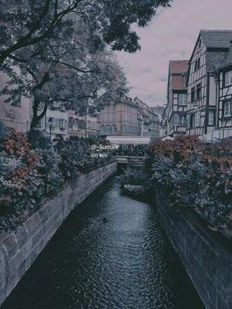 Banen On Blackpink Lisa Aesthetic Background Background