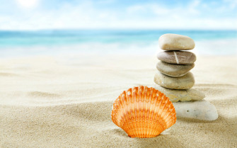 Seashells On The Beach Wallpaper