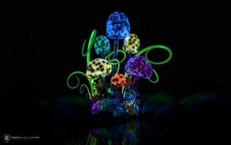 Go Back Image For Magic Mushrooms Wallpaper