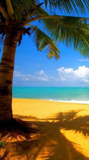 Yellow Beach iPhone Wallpaper HD