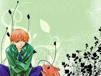 Fruits Basket Wallpaper