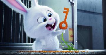 The Secret Life Of Pets Wallpaper HD For Desktop Background