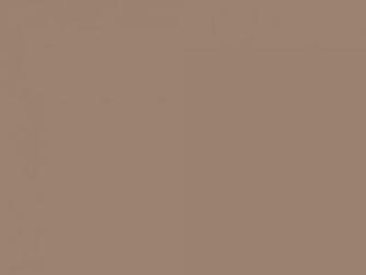 Colour Your World Days Of Crayola January Beaver Brown