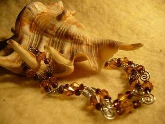 Seashells Macro Shells Wallpaper Desktop