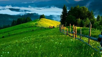 File Name Green Hills Wallpaper