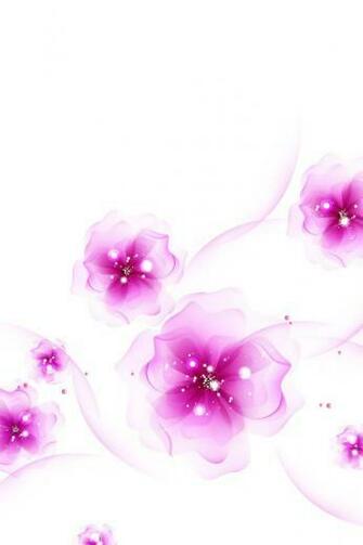 Best Collection Of iPhone Wallpaper Flowers