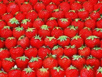 Fresh Strawberries Garden Background