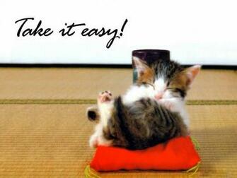 Funny Kittens Wallpaper Animals