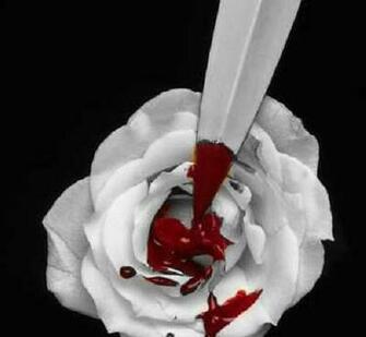 Bloody Rose Comments Graphics And Greetings Codes For Orkut