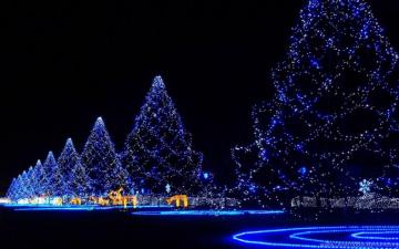 Live 3d Christmas HD Wallpaper Jpg Desktop Background