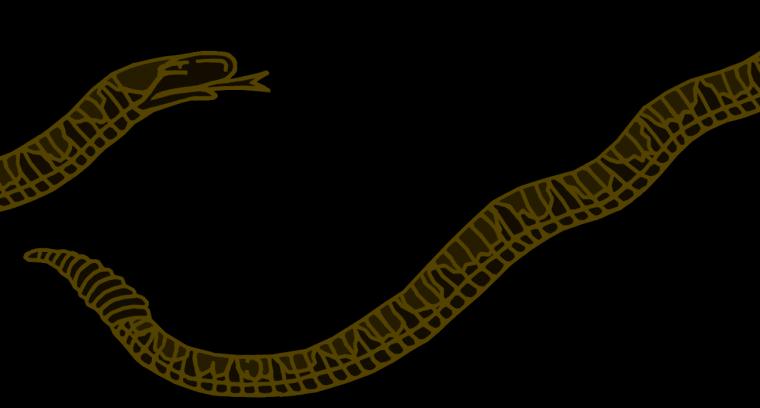 Join Or Die Flag Background
