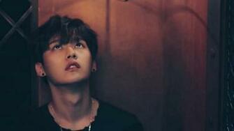 Stray Kids Minho Member Profile Facts And Ideal Type