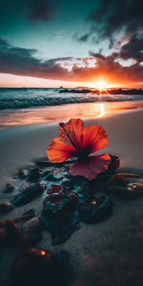 Hibiscus Aesthetic Wallpaper