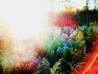 Magical Land Where Faeries Dwell Wallpaper