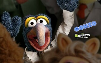 Gonzo Wallpaper