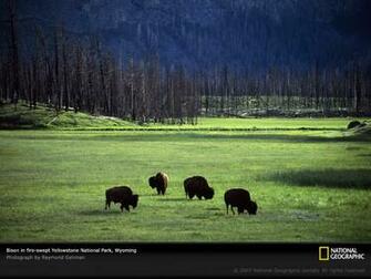 Of The Day Picture Photography Wallpaper National Geographic