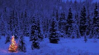 Christmas Tree Wallpaper HD Of