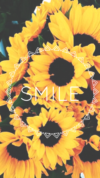 Aesthetic Wallpaper Yellow Sunflower