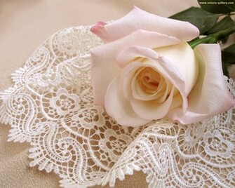 Source Url Smscs Photo Rose Html