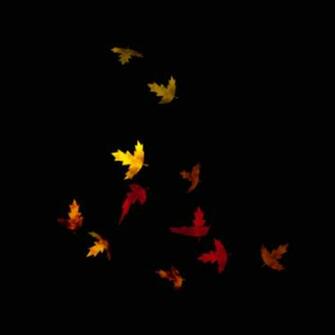 Gif Animated Wallpaper