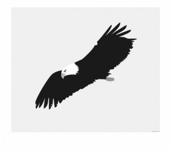Soaring Eagle Animal Black White Clipart Image With