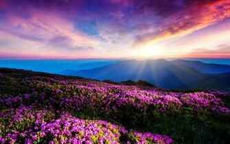 HD Wallpaper Blue Mountain Screensavers X Kb Jpeg