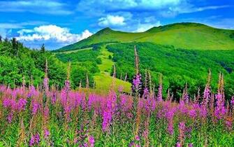 Spring Scenes Desktop Wallpaper HD Background Of Your