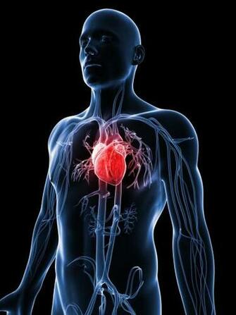 Fda Approves Stem Cell Treatment For Heart Disease Mayo Clinic To