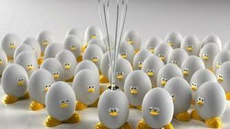 3d Egg Wallpaper And Image S