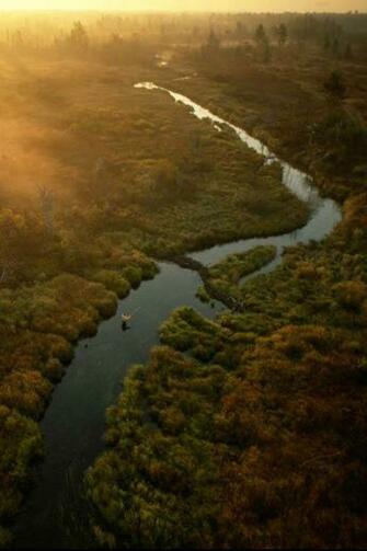 Moving Moments iPhone Wallpaper Background And