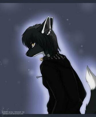 Wolf Furry Wallpaper Image Pictures Becuo