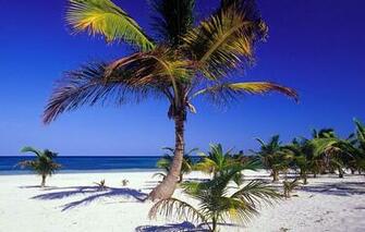 Cell Phone Screensavers And Wallpaper Landscapes Htc