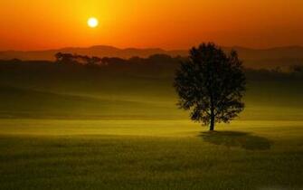 Summer Sunset Landscape Mac Wallpaper